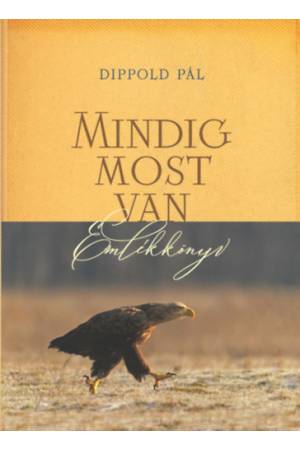 Mindig most van - Emlékkönyv