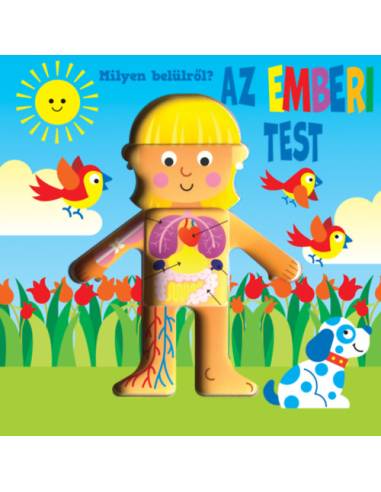 Milyen belülről - Az emberi test