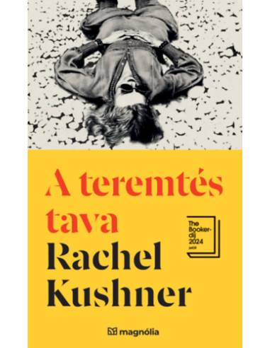 A teremtés tava