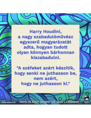 Vegyél rá bárkit bármire! - Pszichológiai titkok, amiknek segítségével bármilyen helyzetet uralhatsz!