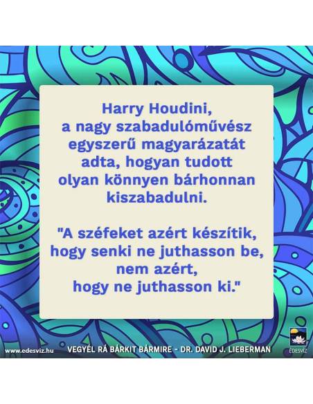 Vegyél rá bárkit bármire! - Pszichológiai titkok, amiknek segítségével bármilyen helyzetet uralhatsz!