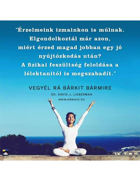 Vegyél rá bárkit bármire! - Pszichológiai titkok, amiknek segítségével bármilyen helyzetet uralhatsz!
