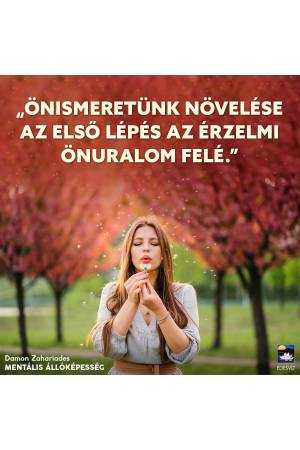 Mentális állóképesség - Útmutató az élet kihívásainak legyőzéséhez, és a negatív érzelmek feloldásához 2