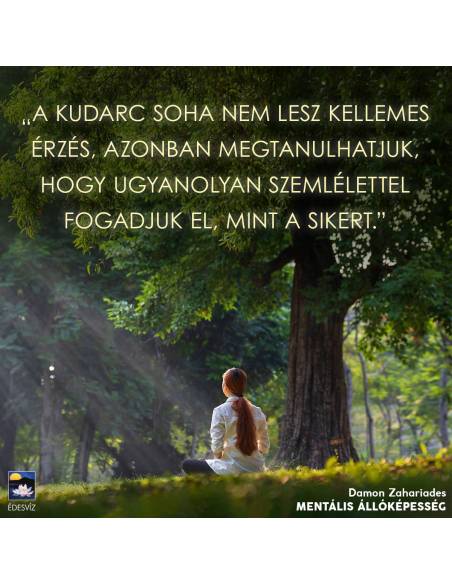Mentális állóképesség - Útmutató az élet kihívásainak legyőzéséhez, és a negatív érzelmek feloldásához