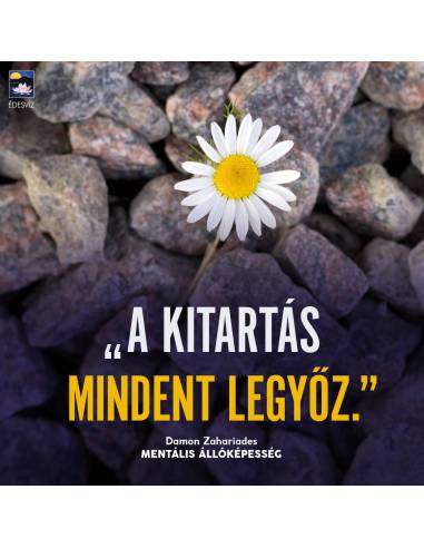 Mentális állóképesség - Útmutató az élet kihívásainak legyőzéséhez, és a negatív érzelmek feloldásához