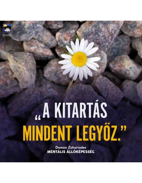 Mentális állóképesség - Útmutató az élet kihívásainak legyőzéséhez, és a negatív érzelmek feloldásához