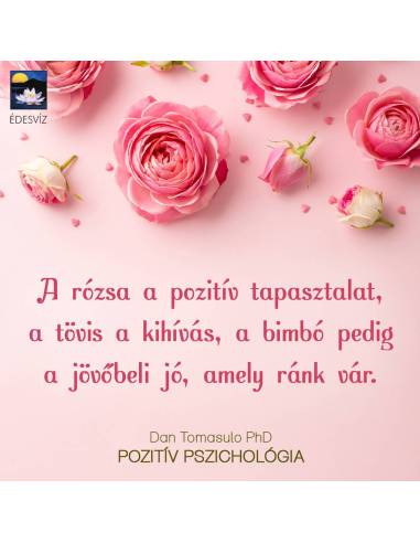 Pozitív pszichológia - Használd ki az optimizmus erejét a szorongás és a stressz leküzdésére
