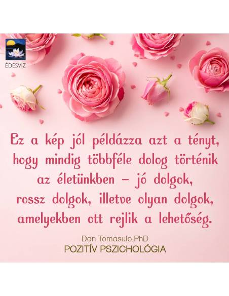 Pozitív pszichológia - Használd ki az optimizmus erejét a szorongás és a stressz leküzdésére