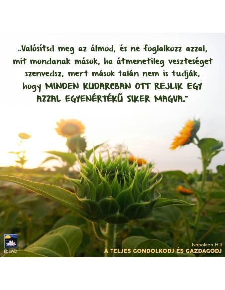 A teljes gondolkodj és gazdagodj