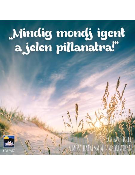 A most hatalma a gyakorlatban