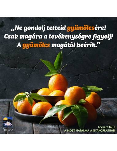A most hatalma a gyakorlatban
