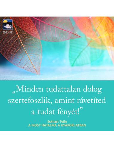 A most hatalma a gyakorlatban