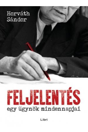 Feljelentés - Egy ügynök mindennapjai