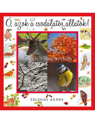 Ó, azok a csodálatos állatok - Őszi-téli ösvényeken