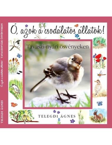 Ó, azok a csodálatos állatok - Tavaszi-nyári ösvényeken
