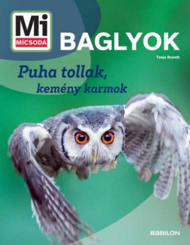 Baglyok - Mi MICSODA ÚJ - Puha tollak, kemény karmok