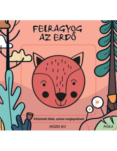 Felragyog az erdő