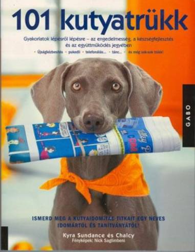 101 kutyatrükk - Gyakorlatok lépésről lépésre az engedelmesség, a készségfejlesztés és az együttműködés jegyében