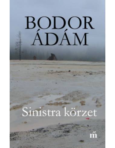 Sinistra körzet