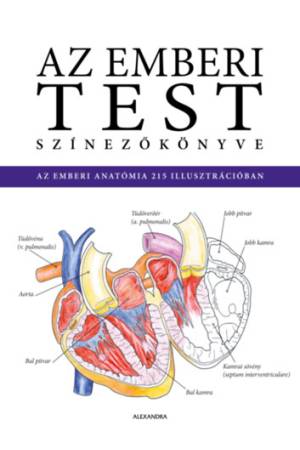 Az emberi test színezőkönyve
