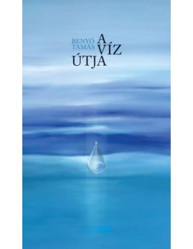 A víz útja