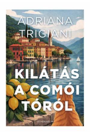 Kilátás a Comói-tóról