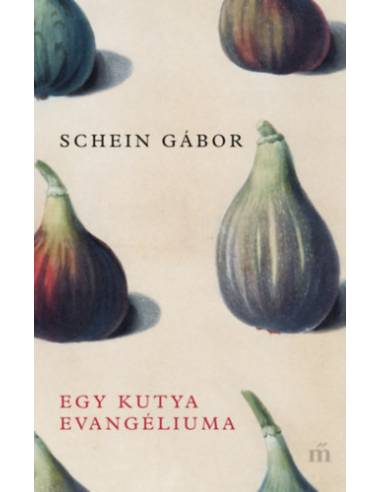 Egy kutya evangéliuma