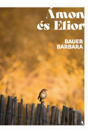 Ámon és Elior