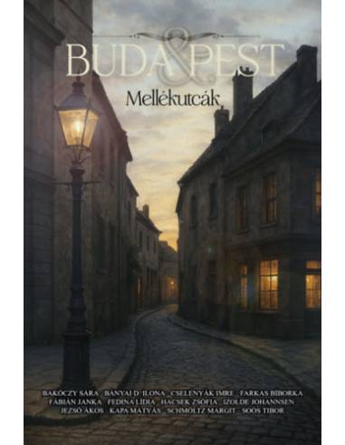 Buda & Pest - Mellékutcák