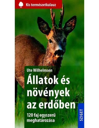 Állatok és növények az erdőben - 120 faj egyszerű meghatározása