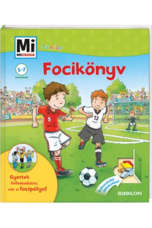 Focikönyv - Mi Micsoda Junior 6.