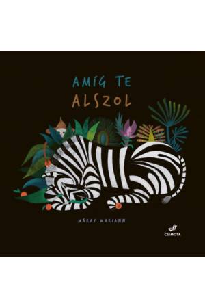 Amíg te alszol