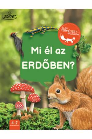 Mi él az erdőben?