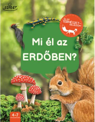 Mi él az erdőben?