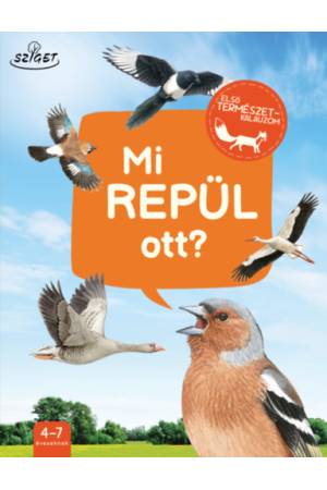Mi repül ott?