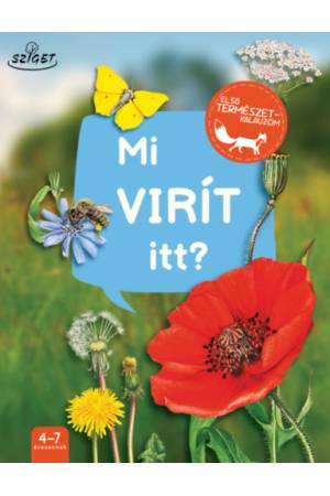 Mi virít itt?
