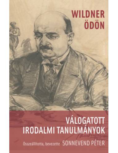 Válogatott irodalmi tanulmányok