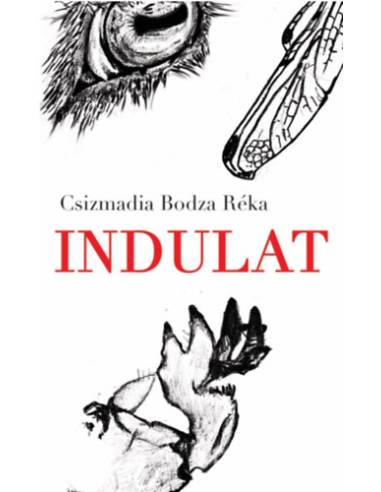 Indulat