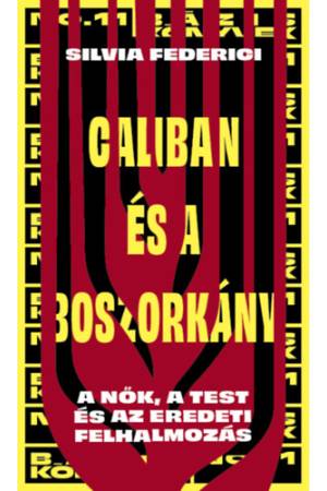 Caliban és a boszorkány - A nők, a test és az eredeti felhalmozás