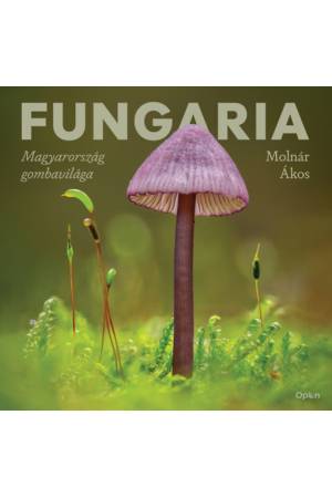 Fungaria - Magyarország gombavilága