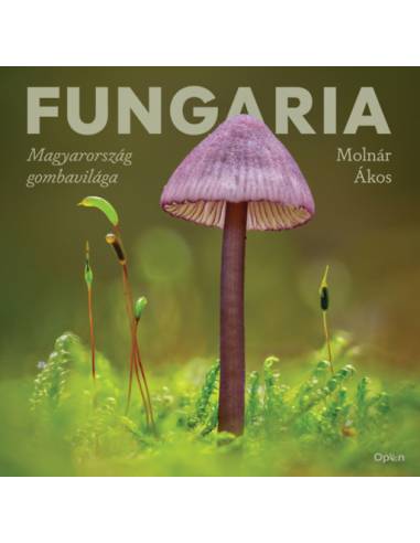 Fungaria - Magyarország gombavilága