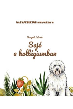 Sajó a kollégiumban