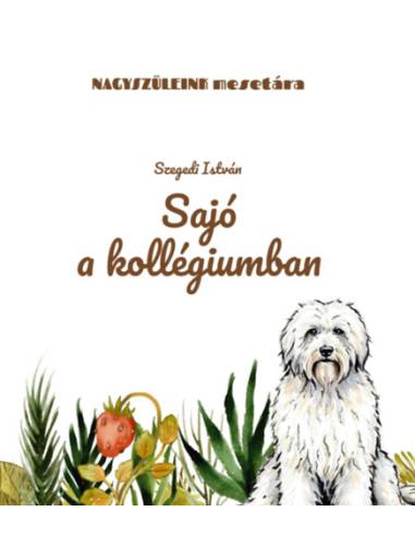 Sajó a kollégiumban