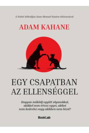 Egy csapatban az ellenséggel - Hogyan működj együtt olyanokkal, akikkel nem értesz egyet, akiket nem kedvelsz vagy akikben nem b