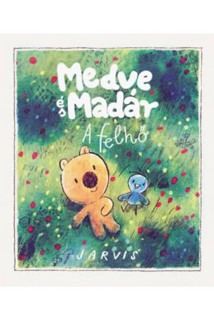 A Medve és madár - A felhő