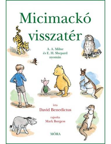 Micimackó visszatér