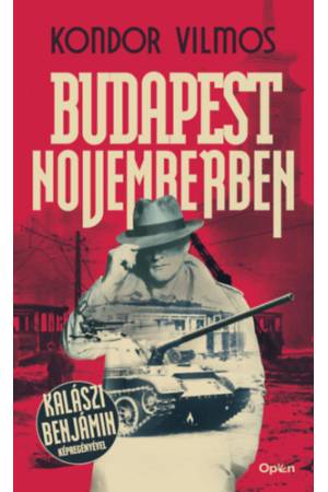 Budapest novemberben
