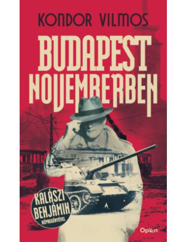 Budapest novemberben