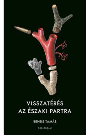 Visszatérés az északi partra