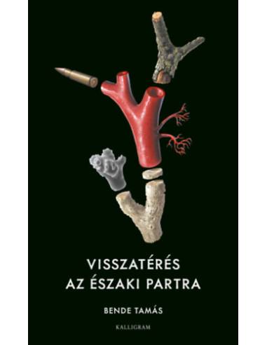 Visszatérés az északi partra